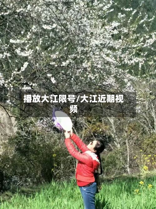 播放大江限号/大江近期视频