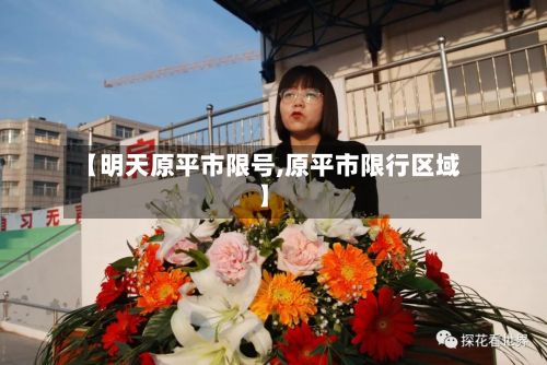 【明天原平市限号,原平市限行区域】