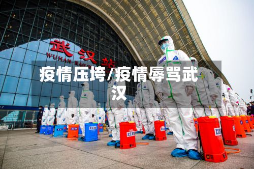 疫情压垮/疫情辱骂武汉