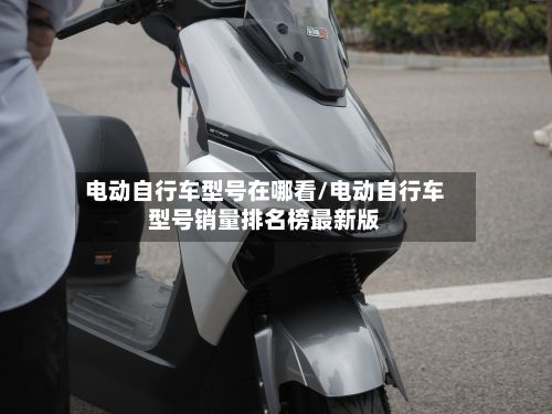 电动自行车型号在哪看/电动自行车型号销量排名榜最新版-第2张图片