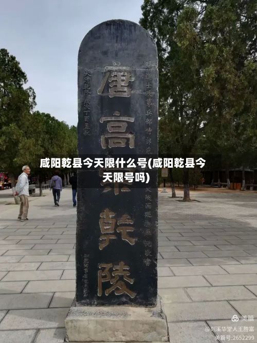 咸阳乾县今天限什么号(咸阳乾县今天限号吗)-第3张图片