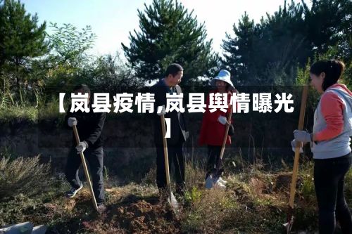 【岚县疫情,岚县舆情曝光】-第2张图片