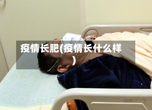 疫情长肥(疫情长什么样)