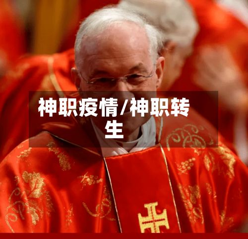 神职疫情/神职转生