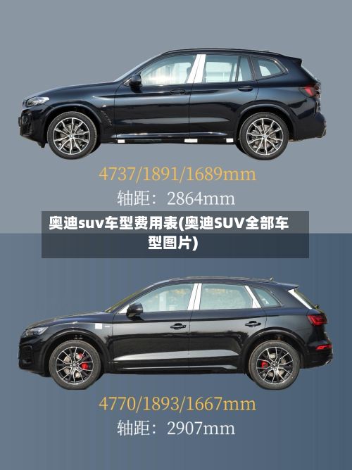 奥迪suv车型费用表(奥迪SUV全部车型图片)-第2张图片