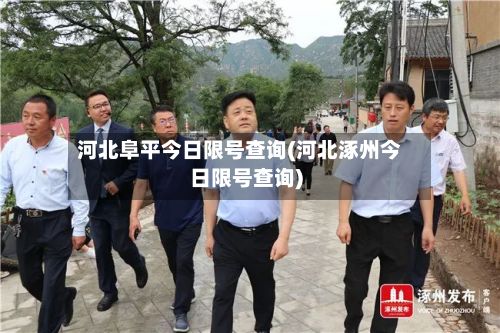 河北阜平今日限号查询(河北涿州今日限号查询)-第2张图片