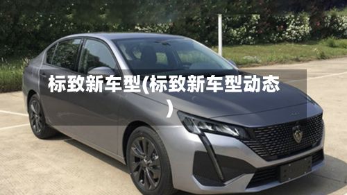 标致新车型(标致新车型动态)-第2张图片