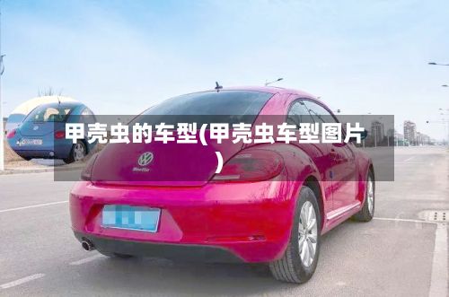 甲壳虫的车型(甲壳虫车型图片)-第2张图片