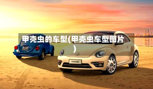 甲壳虫的车型(甲壳虫车型图片)