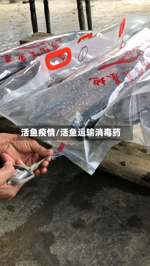 活鱼疫情/活鱼运输消毒药