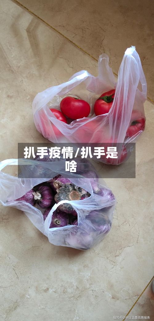 扒手疫情/扒手是啥