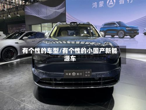 有个性的车型/有个性的小国产新能源车