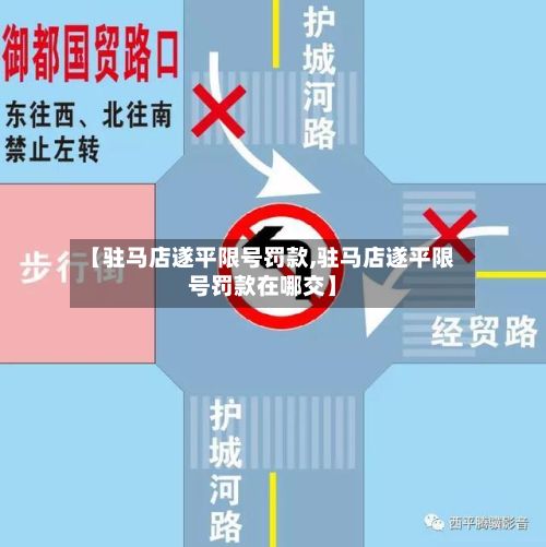 【驻马店遂平限号罚款,驻马店遂平限号罚款在哪交】-第3张图片