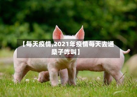 【每天疫情,2021年疫情每天去通桑子咋叫】