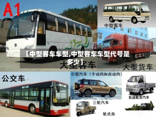 【中型客车车型,中型客车车型代号是多少】-第3张图片