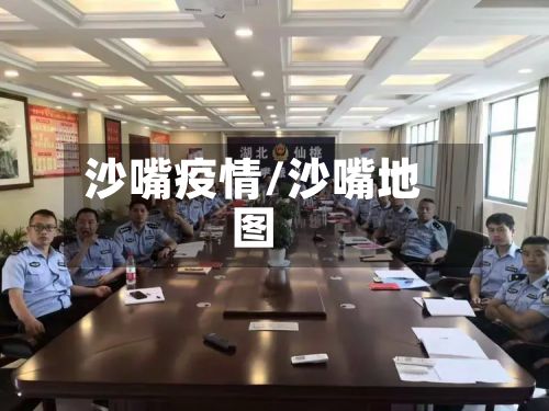 沙嘴疫情/沙嘴地图-第3张图片