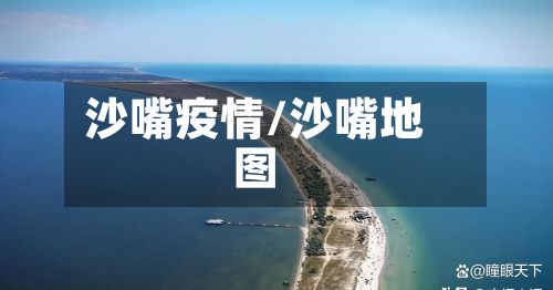 沙嘴疫情/沙嘴地图