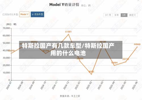 特斯拉国产有几款车型/特斯拉国产用的什么电池