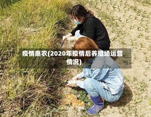 疫情惠农(2020年疫情后养殖场运营情况)