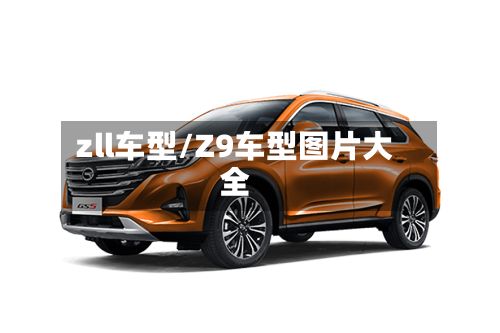 zll车型/Z9车型图片大全-第3张图片