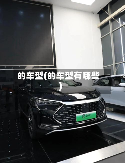 的车型(的车型有哪些)