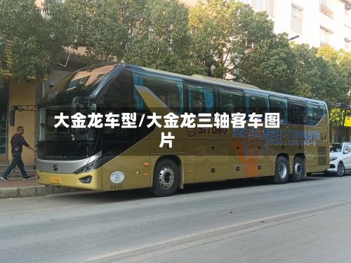 大金龙车型/大金龙三轴客车图片-第2张图片