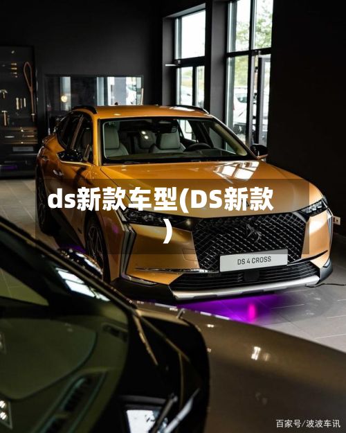 ds新款车型(DS新款)-第3张图片