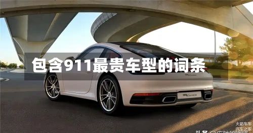 包含911最贵车型的词条