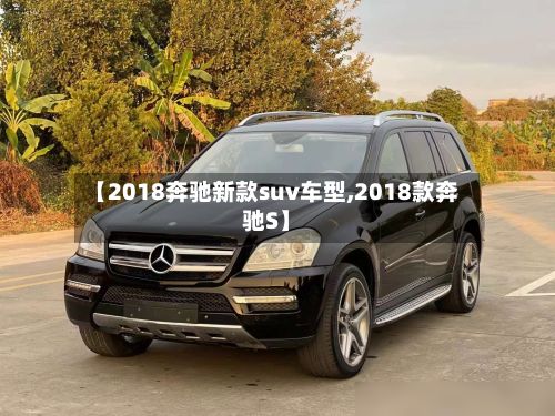 【2018奔驰新款suv车型,2018款奔驰S】-第3张图片