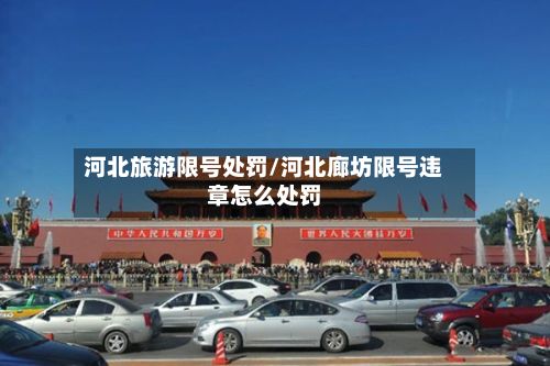 河北旅游限号处罚/河北廊坊限号违章怎么处罚