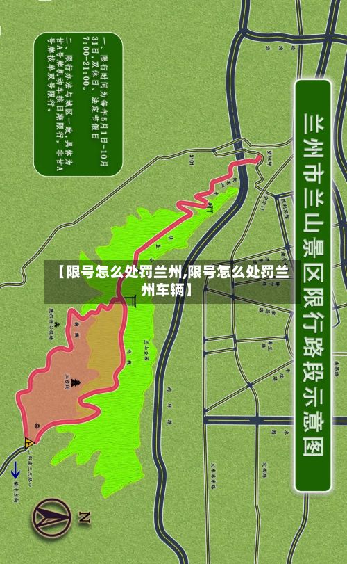 【限号怎么处罚兰州,限号怎么处罚兰州车辆】-第3张图片