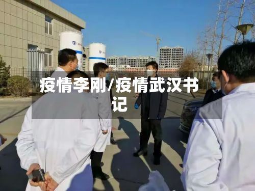 疫情李刚/疫情武汉书记-第2张图片
