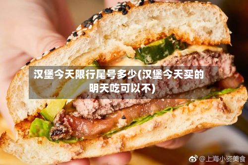 汉堡今天限行尾号多少(汉堡今天买的明天吃可以不)-第2张图片