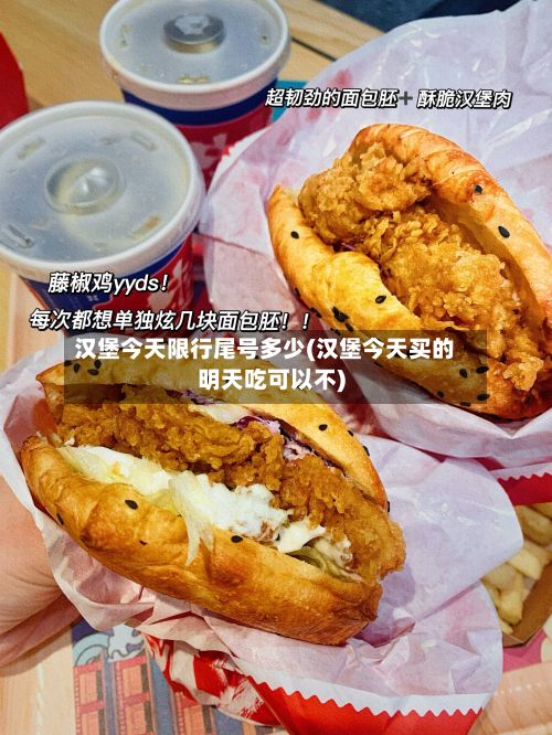 汉堡今天限行尾号多少(汉堡今天买的明天吃可以不)