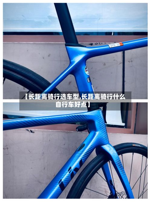 【长距离骑行选车型,长距离骑行什么自行车好点】-第2张图片