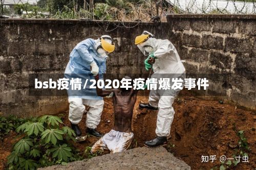 bsb疫情/2020年疫情爆发事件-第2张图片