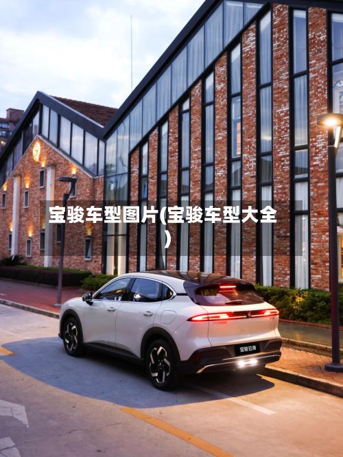 宝骏车型图片(宝骏车型大全)-第2张图片