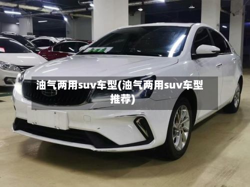 油气两用suv车型(油气两用suv车型推荐)