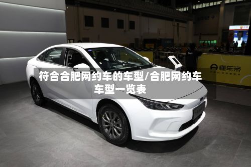 符合合肥网约车的车型/合肥网约车车型一览表-第2张图片