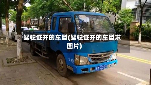驾驶证开的车型(驾驶证开的车型求图片)-第2张图片