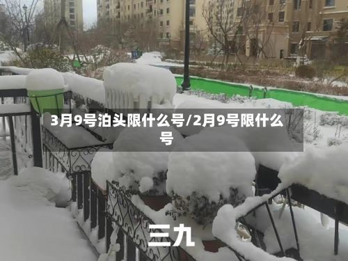 3月9号泊头限什么号/2月9号限什么号