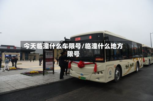 今天临潼什么车限号/临潼什么地方限号-第2张图片