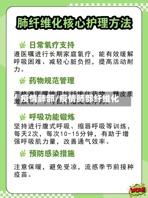 疫情肺部/疫情肺部纤维化-第2张图片