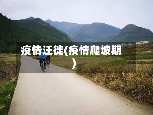 疫情迁徙(疫情爬坡期)-第3张图片