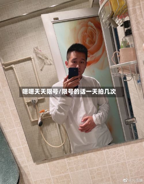 嗯嗯天天限号/限号的话一天拍几次-第2张图片