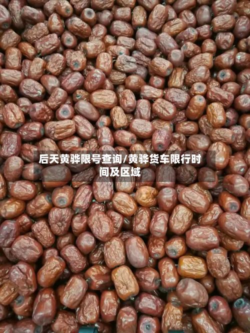 后天黄骅限号查询/黄骅货车限行时间及区域-第3张图片
