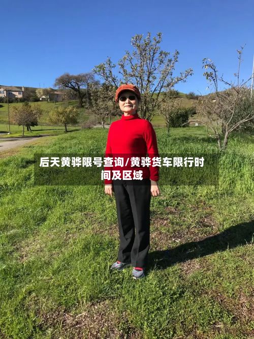 后天黄骅限号查询/黄骅货车限行时间及区域-第2张图片