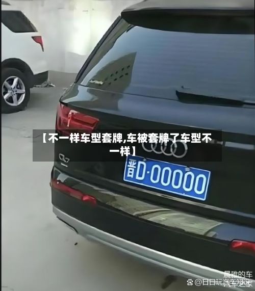 【不一样车型套牌,车被套牌了车型不一样】