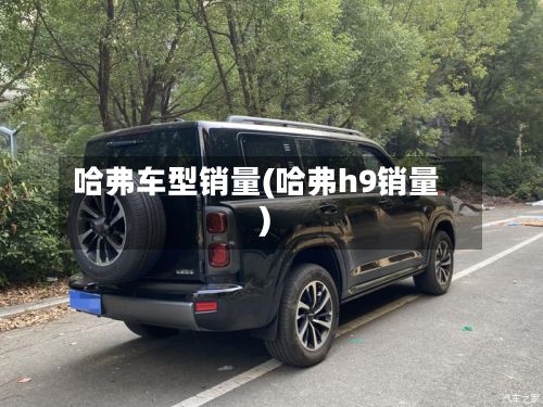 哈弗车型销量(哈弗h9销量)