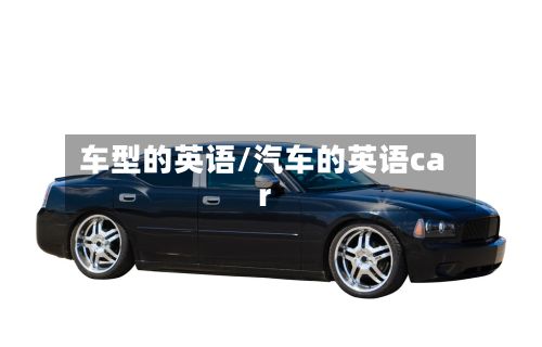 车型的英语/汽车的英语car